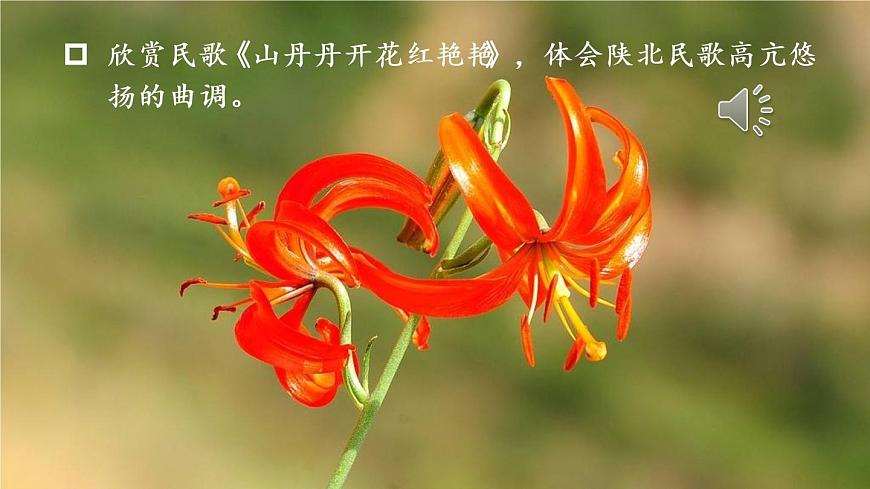 部編版語(yǔ)文八年級(jí)下冊(cè) 2 回延安 課件第2頁(yè)