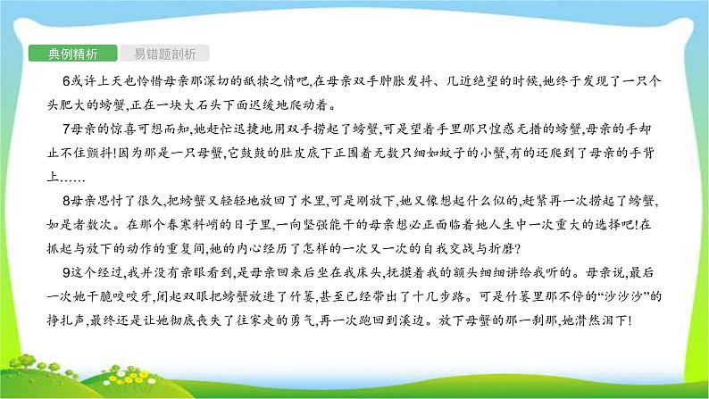 中考语文复习专题十三记叙文阅读优质课件PPT第6页