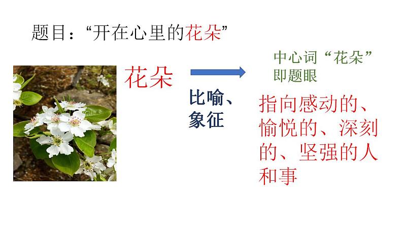 作文升格:一枝一叶总关情课件PPT第7页