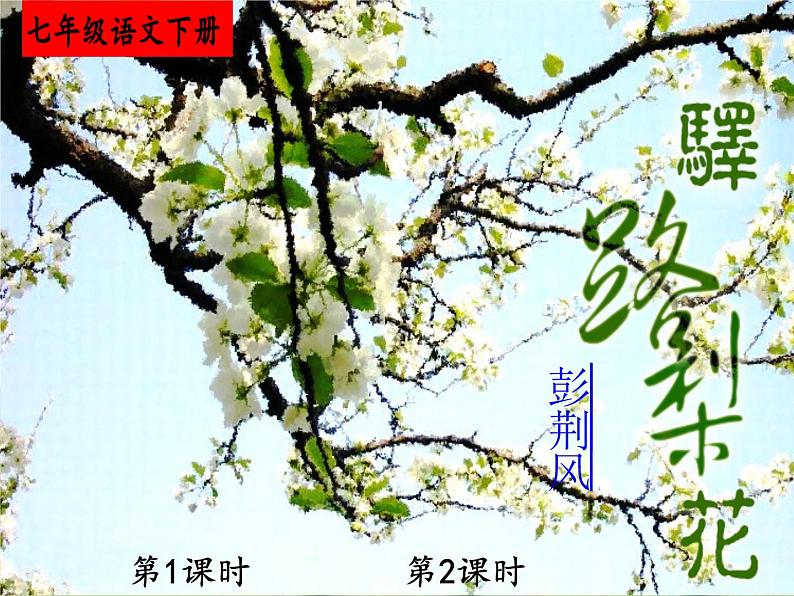 部编版语文七年级下册15.驿路梨花 课件第1页