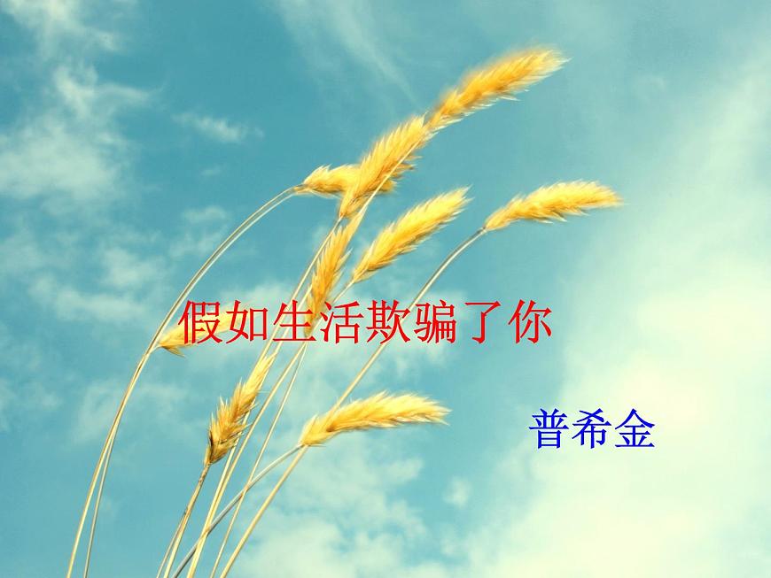 部編版語(yǔ)文七年級(jí)下冊(cè) 20.外國(guó)詩(shī)兩首 課件第3頁(yè)