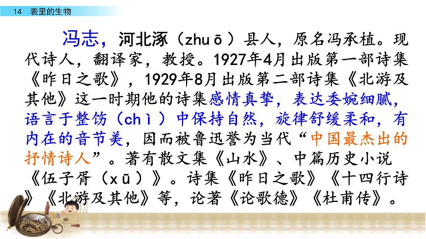 13表里的生物課件——2020-2021學(xué)年六年級語文下冊部編版(五四學(xué)制)第4頁