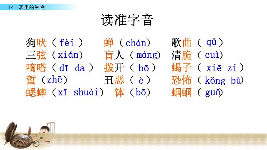 13表里的生物課件——2020-2021學(xué)年六年級語文下冊部編版(五四學(xué)制)第5頁