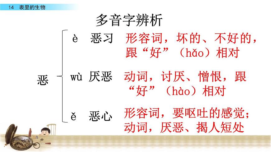 13表里的生物課件——2020-2021學(xué)年六年級語文下冊部編版(五四學(xué)制)第8頁