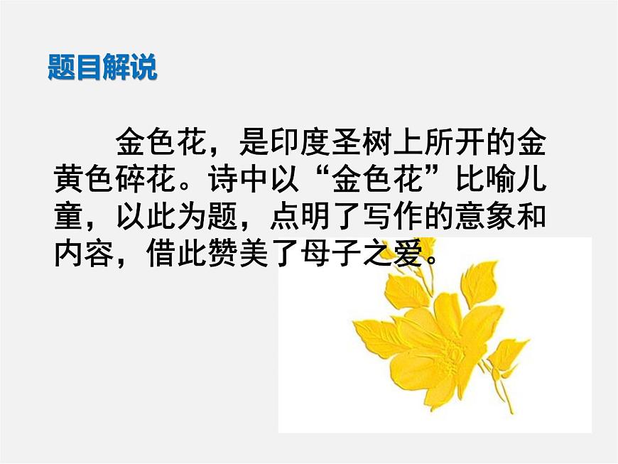 人教初中語文七上《4散文詩兩首金色花》PPT課件 (7)第6頁