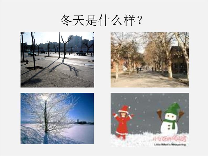 人教初中语文七上《12济南的冬天》PPT课件 (3)03