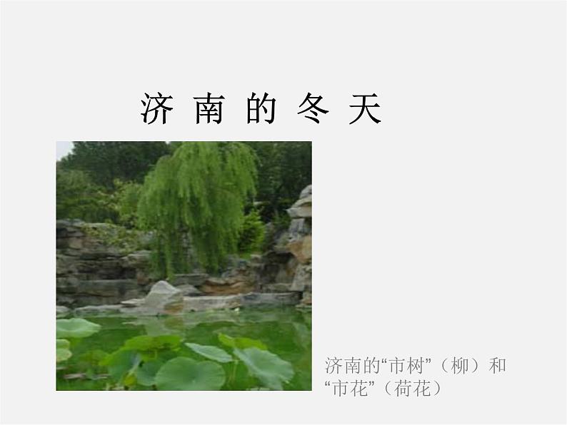 人教初中语文七上《12济南的冬天》PPT课件 (3)04