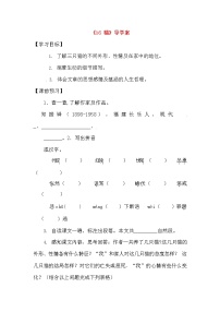 初中语文人教部编版七年级上册16 猫学案设计