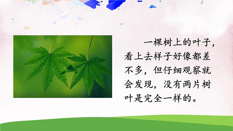 写作 说明事物要抓住特征【教案匹配版】第3页