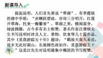 初中语文人教部编版 (五四制)八年级上册(2018)17* 昆明的雨备课课件ppt