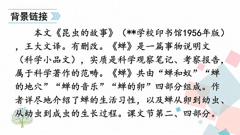 人教部编版 (五四制)语文八年级上册 20 蝉【教学课件】第7页