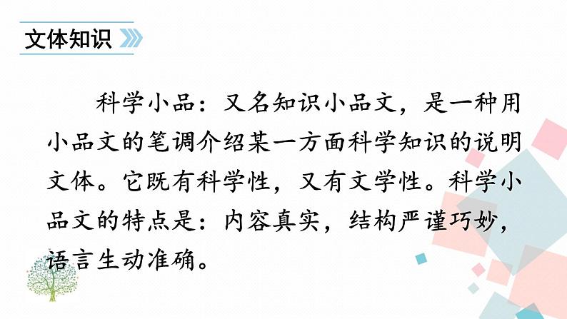 人教部编版 (五四制)语文八年级上册 20 蝉【教学课件】第8页