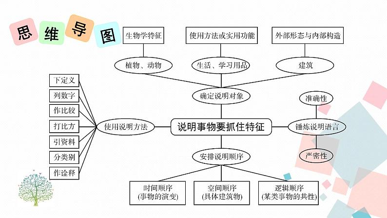 人教部编版 (五四制)语文八年级上册 写作 说明事物要抓住特征【教学课件】第7页