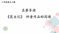 初中语文人教部编版 (五四制)八年级上册（2018）名著导读 《昆虫记》：科普作品的阅读示范课ppt课件