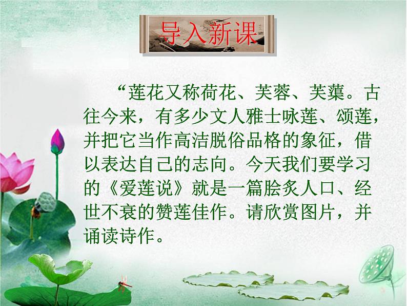 17《爱莲说》精品教学课件第2页