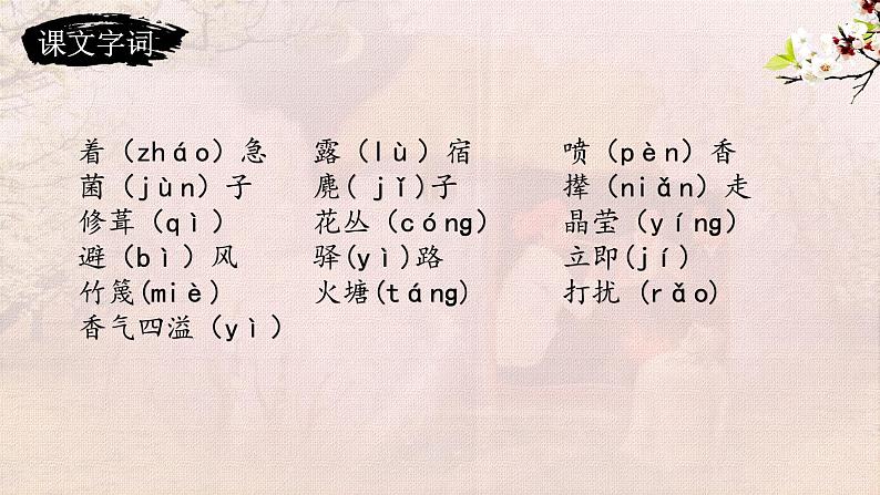 第14课 驿路梨花 课件05