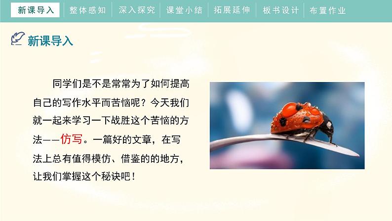 第一单元《写作学习仿写》教学课件第4页