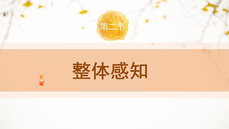 8《时间的脚印》教学课件第5页