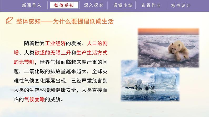 第二单元《综合性学习倡导低碳生活》教学课件08