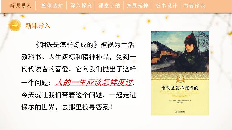 第六单元《名著导读〈钢铁是怎样炼成的〉》教学课件第4页