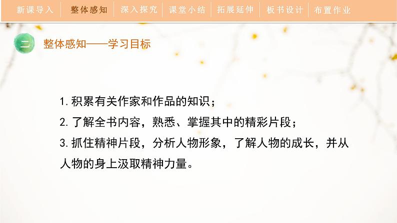第六单元《名著导读〈钢铁是怎样炼成的〉》教学课件第6页