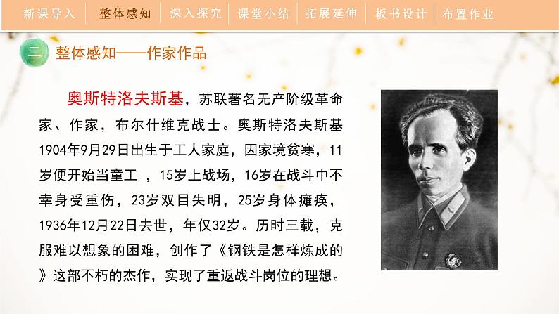 第六单元《名著导读〈钢铁是怎样炼成的〉》教学课件第7页