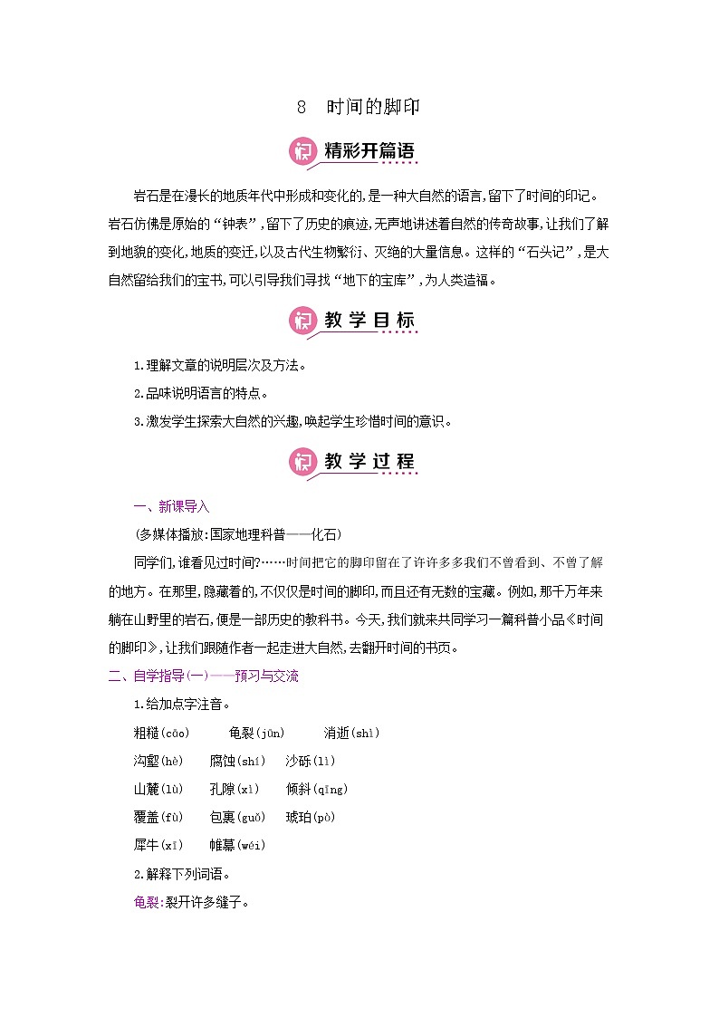 8《时间的脚印》 名师教案01