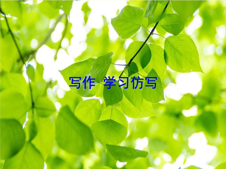 最新部编版初中语文八年级下册 一单元写作《学习仿写》课件01