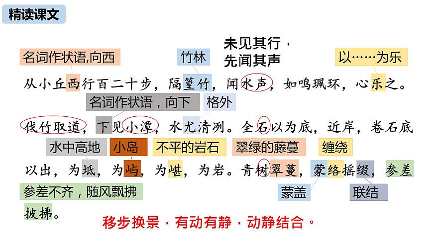 10《小石潭記》課件——八年級語文下冊部編版第8頁