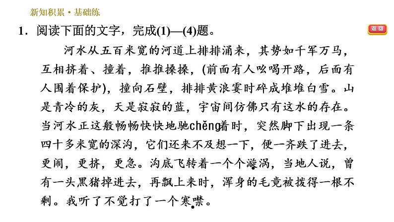 人教版八年级下册语文 第5单元 17.壶口瀑布 习题课件第4页