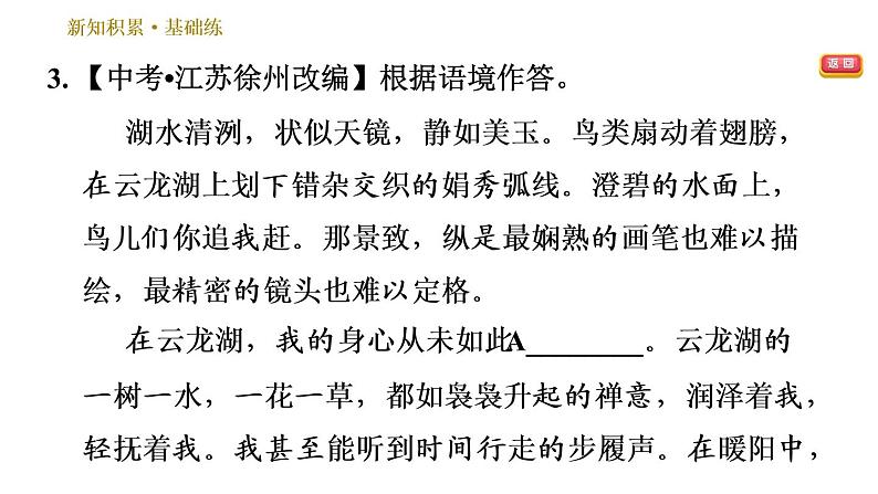 人教版八年级下册语文 第5单元 17.壶口瀑布 习题课件第8页
