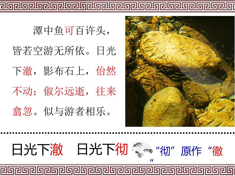 10 小石潭记 课件 初中语文人教部编版(五四制)八年级下册(2022年)第6页