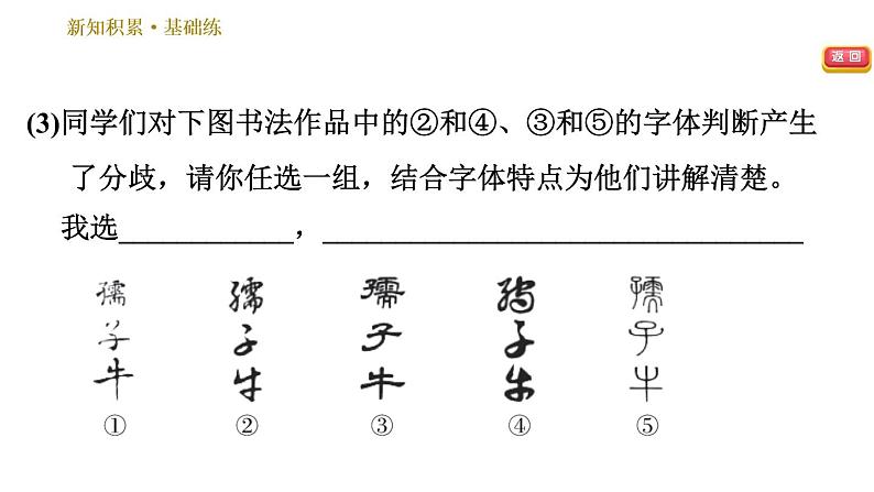 人教版七年级下册语文 第1单元 3 回忆鲁迅先生(节选) 习题课件第8页