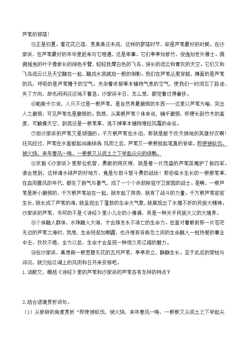 专题02 七年级语文“阅读与写作素养”寒假天天提升(二)第3页