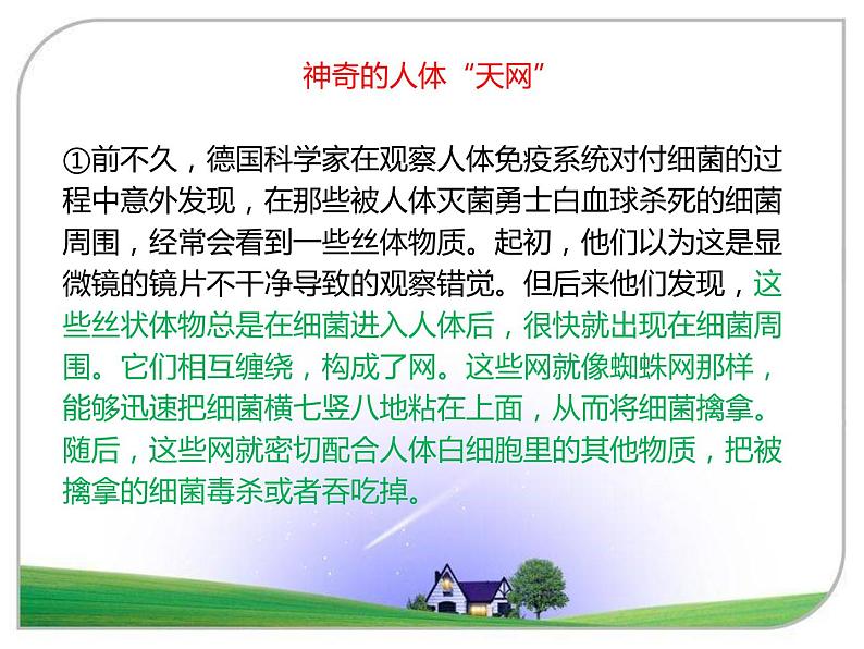 初中语文七年级下册期末复习说明文阅读综合练习 课件(共22张PPT)第3页