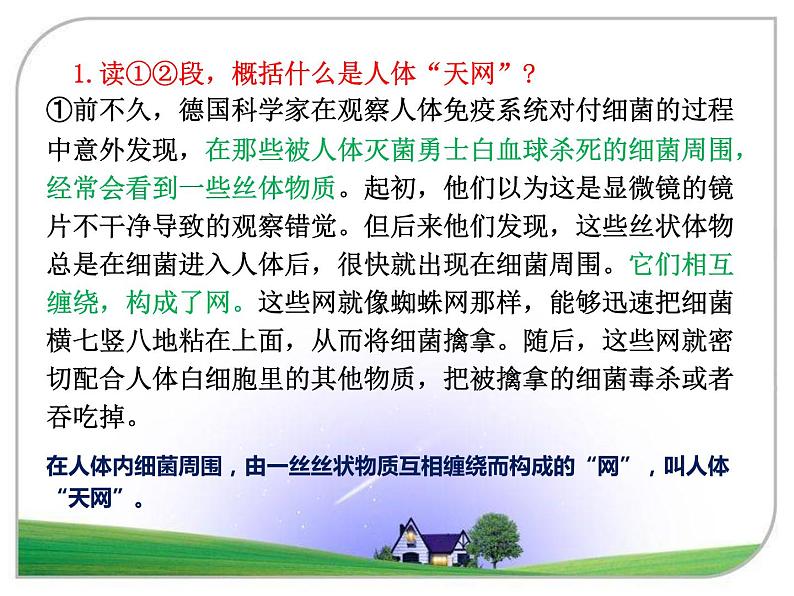 初中语文七年级下册期末复习说明文阅读综合练习 课件(共22张PPT)第8页