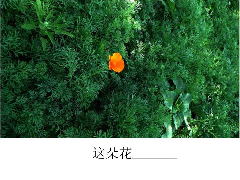2022年中考语文二轮专题复习:记叙文阅读表现手法——对比和衬托的区别(共26张PPT)第2页