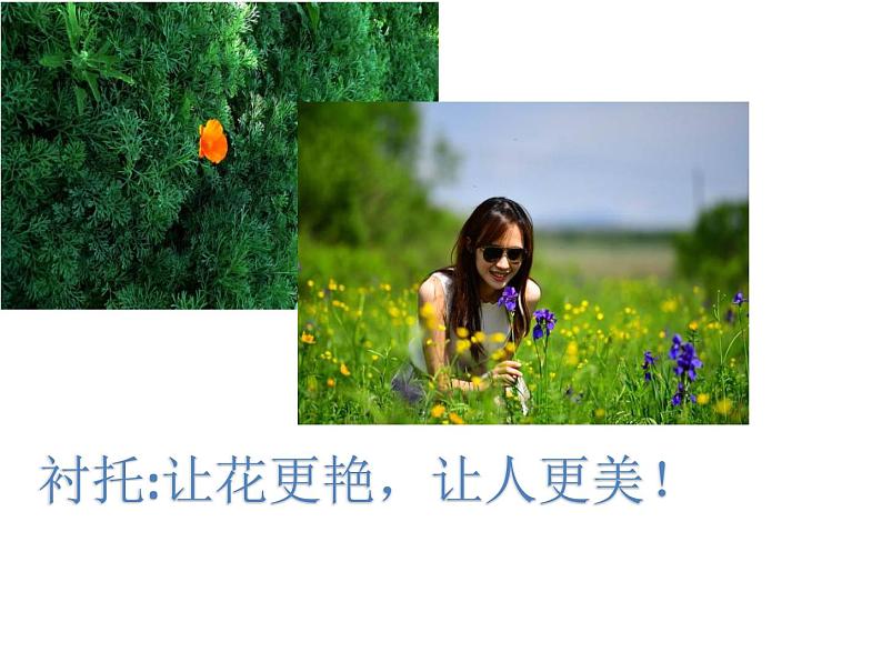 2022年中考语文二轮专题复习:记叙文阅读表现手法——对比和衬托的区别(共26张PPT)第4页