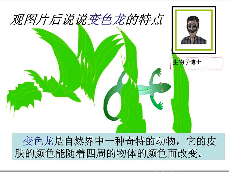 06 变色龙-2021-2022学年九年级语文下册精品随堂课件(部编版)07