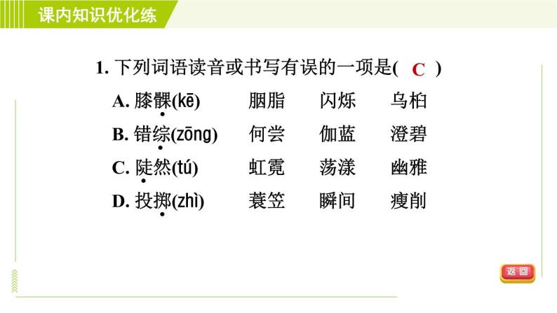 人教五四制六年级下册语文 第6单元 习题课件05