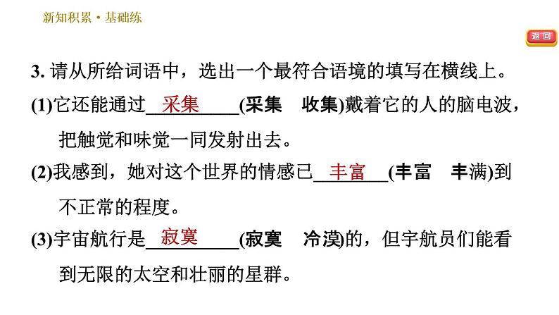 人教版七年级下册语文 第6单元 24 带上她的眼睛 习题课件第7页
