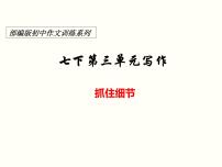 初中语文人教部编版七年级下册写作 抓住细节图文课件ppt