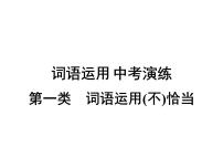 2022年广东省中考语文二轮专题复习：词语运用（共48张PPT）