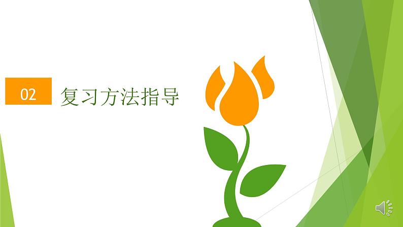 2022年北京中考语文一轮复习:文言文基础复习(写景抒情类) 课件(共31张PPT)08