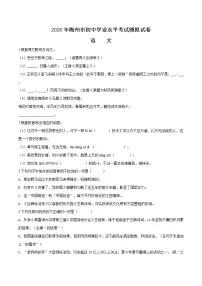 精品解析：2020年广东省梅州市中考一模语文试题(解析版+原卷版)