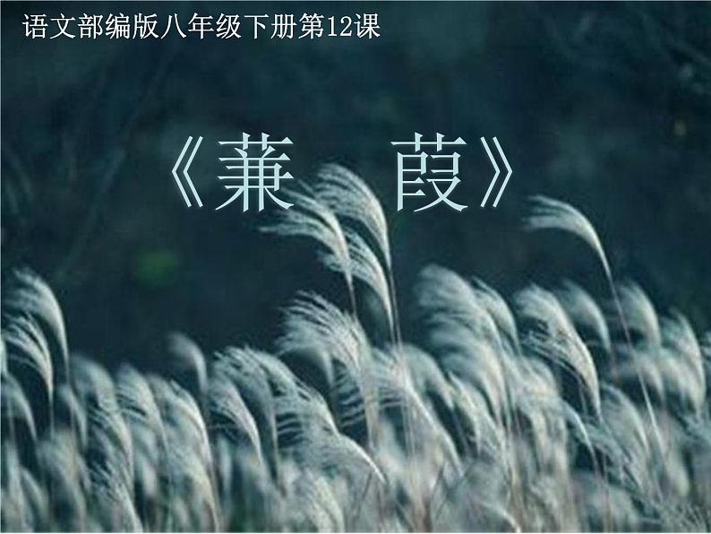 部编版八年级语文下册课件----《蒹葭》02