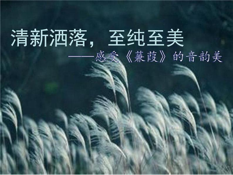 部编版八年级语文下册课件----《蒹葭》04