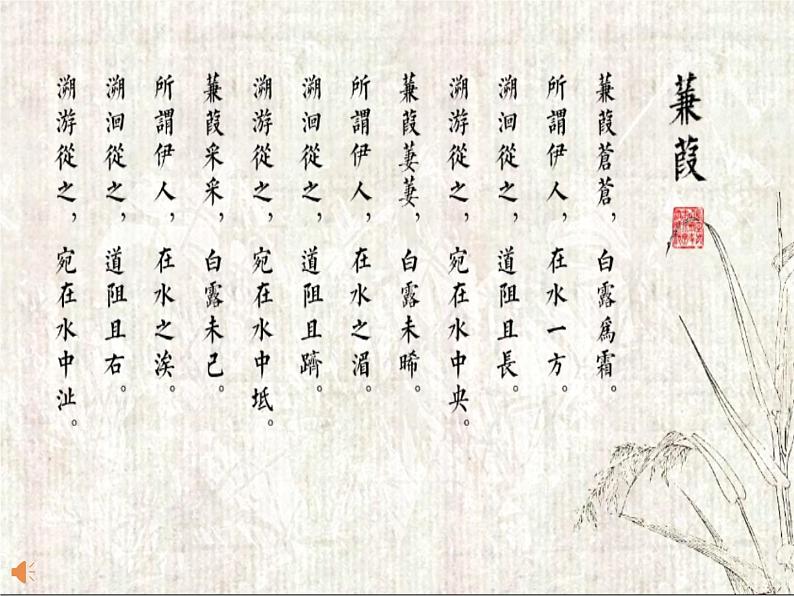 部编版八年级语文下册课件----《蒹葭》05