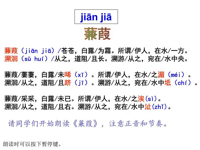 部编版八年级语文下册课件----《蒹葭》06