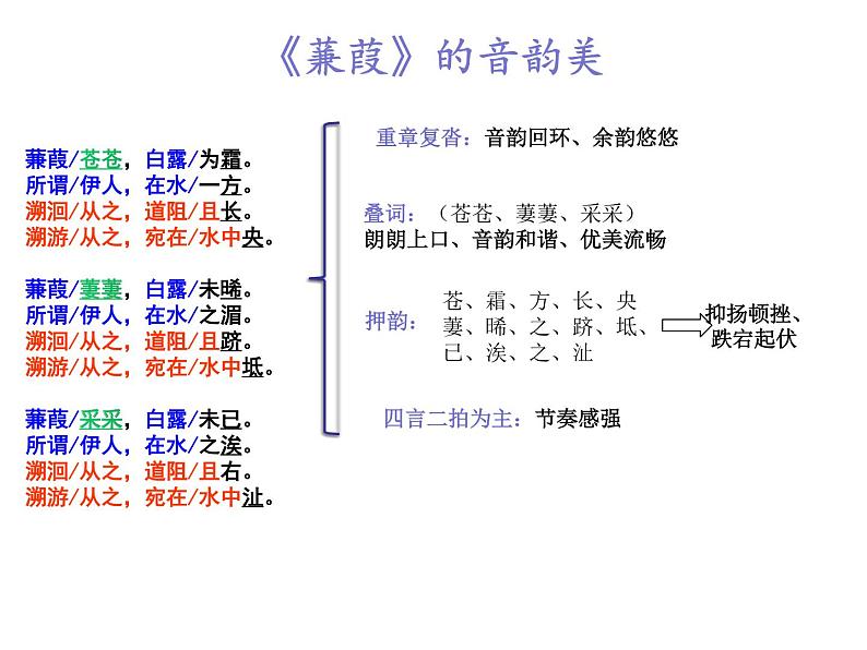 部编版八年级语文下册课件----《蒹葭》08